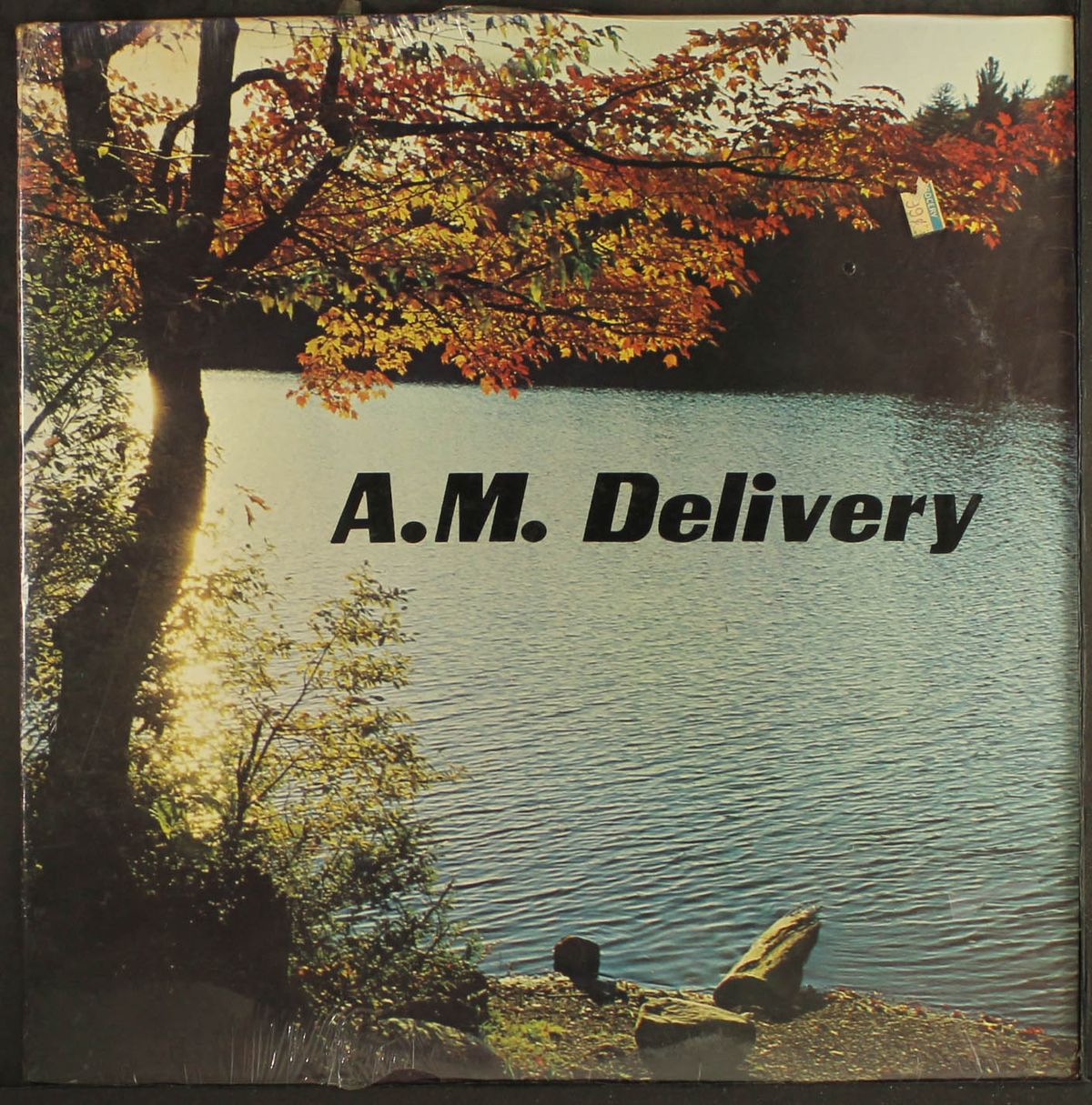 a.m. delivery by A.M. DELIVERY
