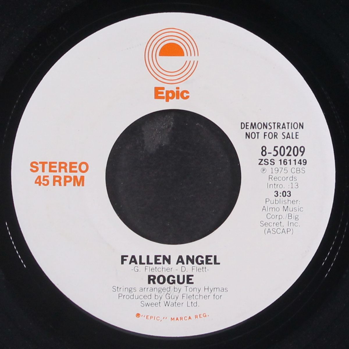 fallen angel / mono by ROGUE