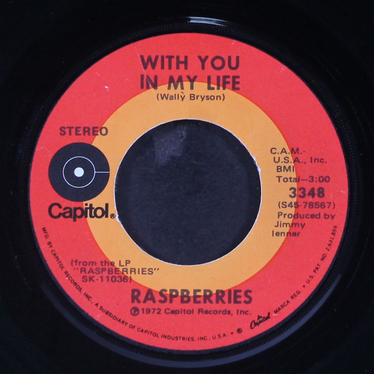 go all the way / with you in my life by RASPBERRIES