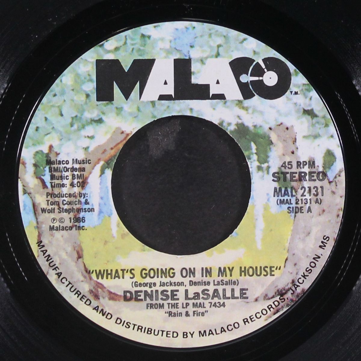 what's going on in my house / be's that way sometimes by DENISE LASALLE