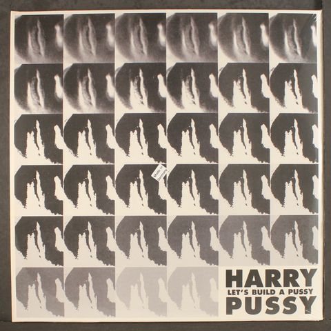 HARRY PUSSY