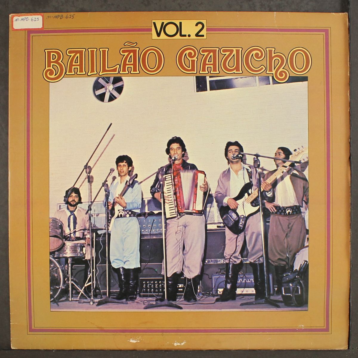 bailao gaucho vol. 2 by VARIOUS