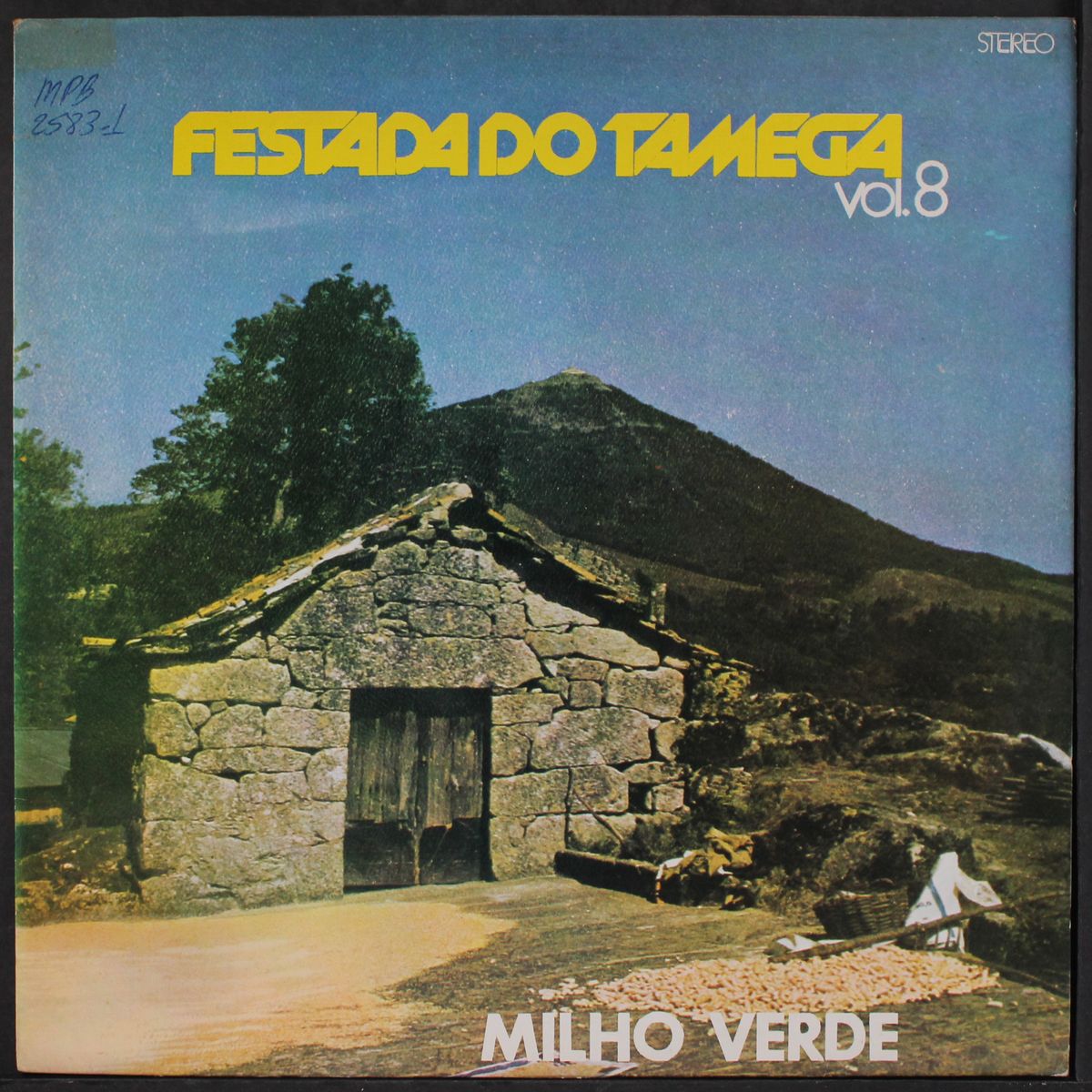 festada do tamega by VARIOUS