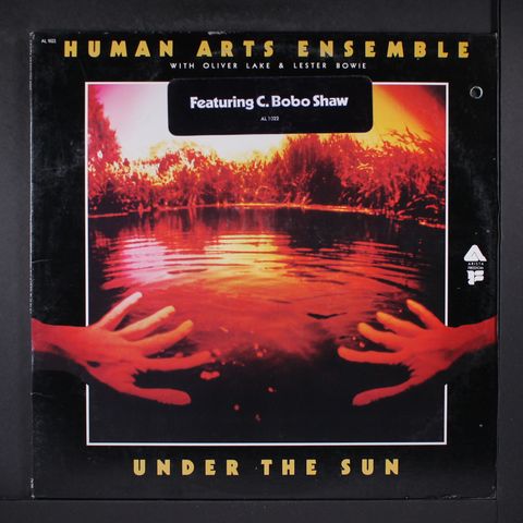 HUMAN ARTS ENSEMBLE