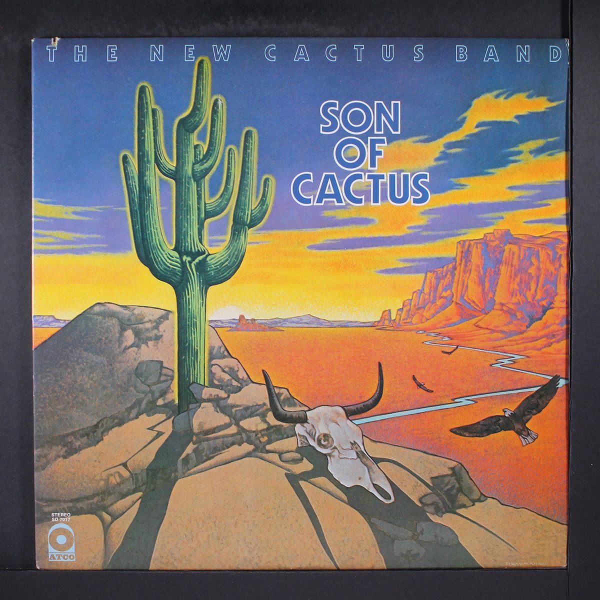 son of cactus by NEW CACTUS BAND