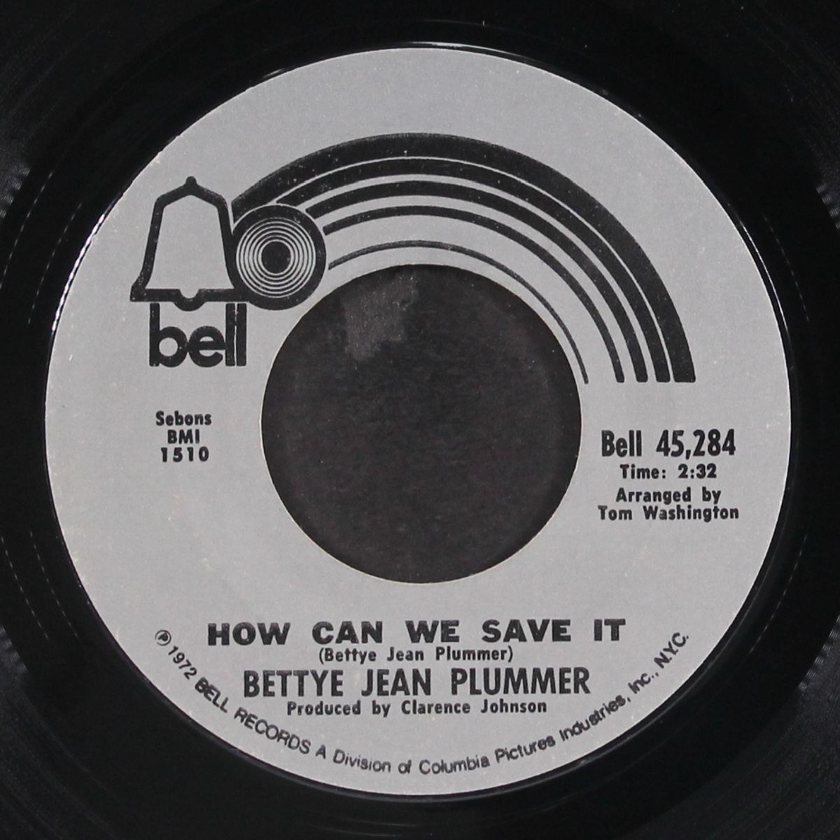 how can we save it / make it together by BETTYE JEAN PLUMMER