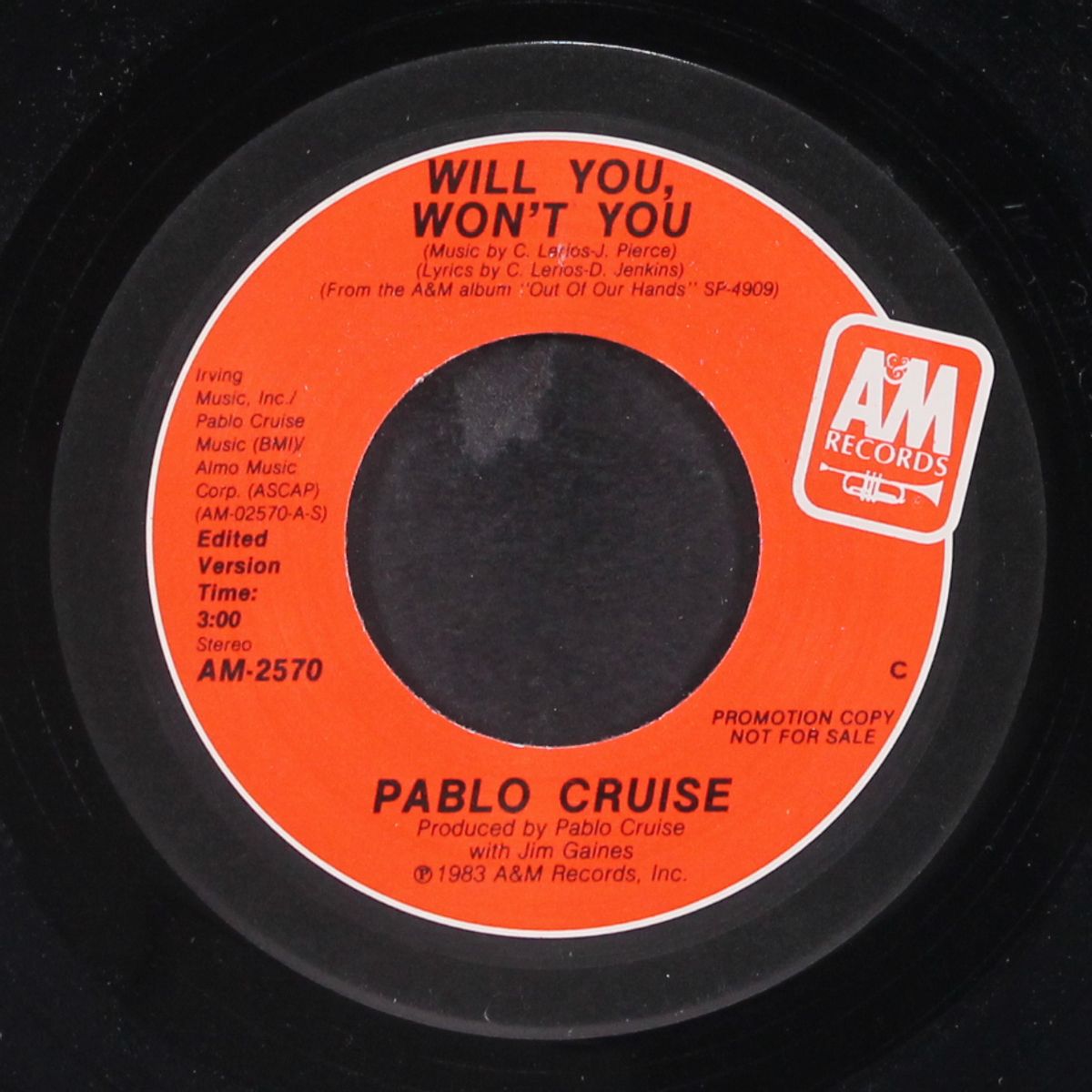 will you, won't you / short by PABLO CRUISE