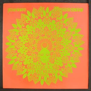 MAGIC MUSHROOM BAND
