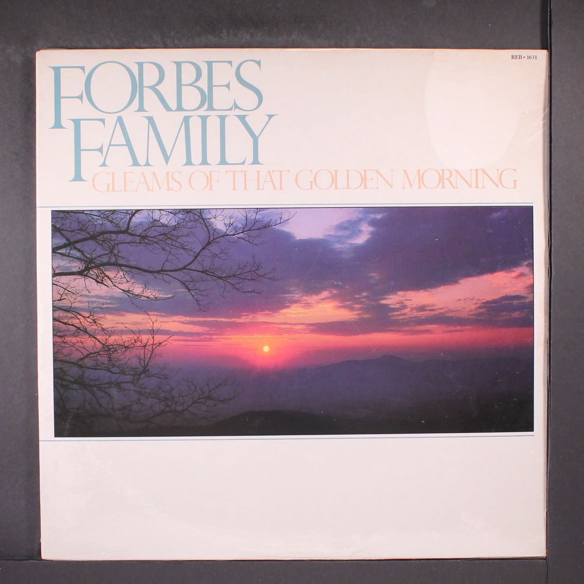 gleams of that golden morning by FORBES FAMILY