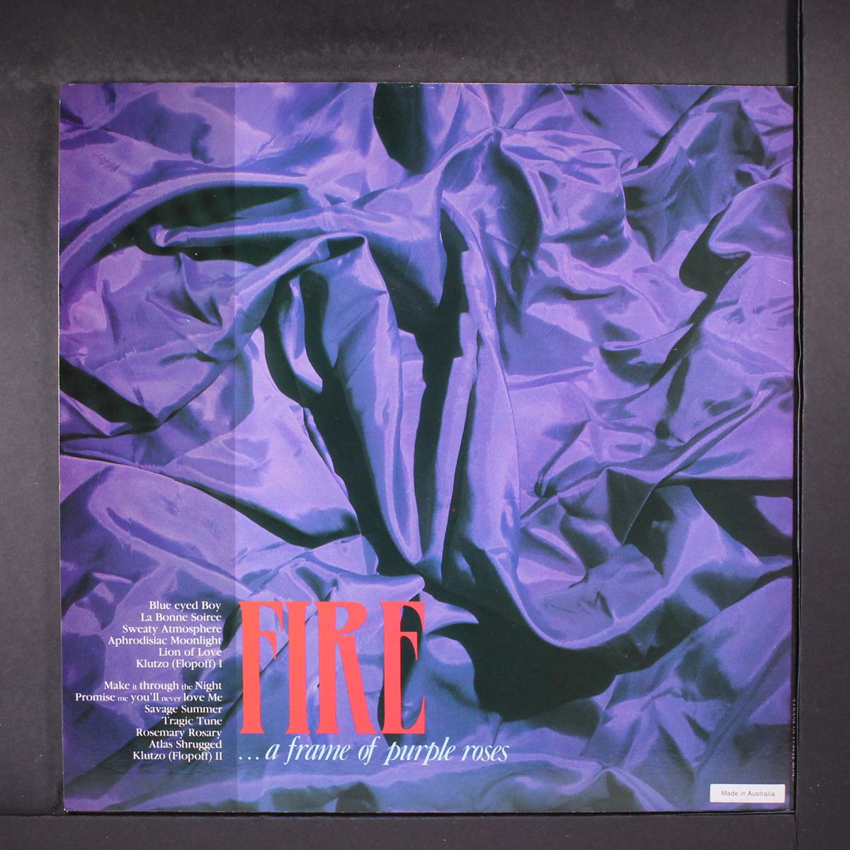 a frame of purple roses by FIRE