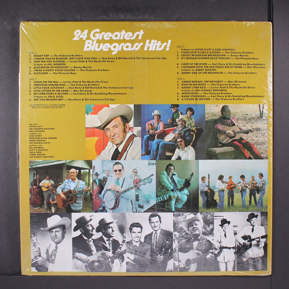 24 greatest bluegrass hits by VARIOUS