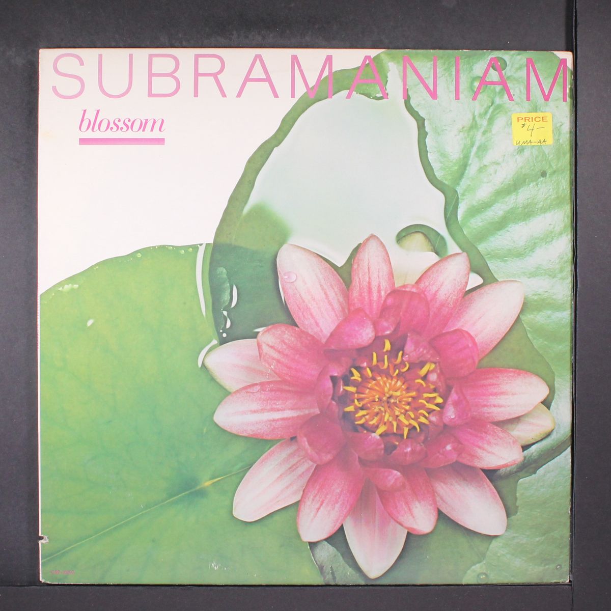 blossom by SUBRAMANIAM
