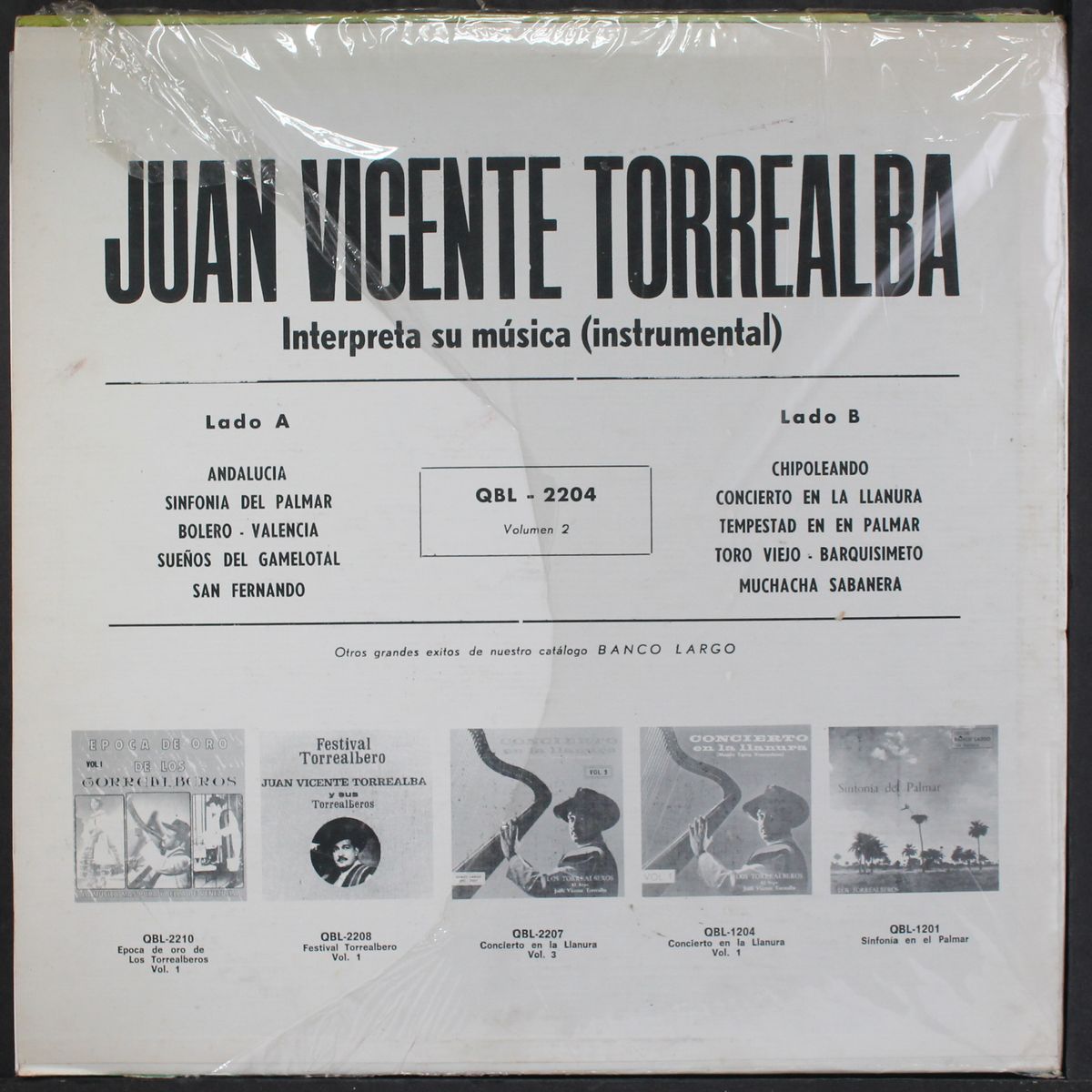 concierto en la llanura vol. 2 by LOS TORREALBEROS