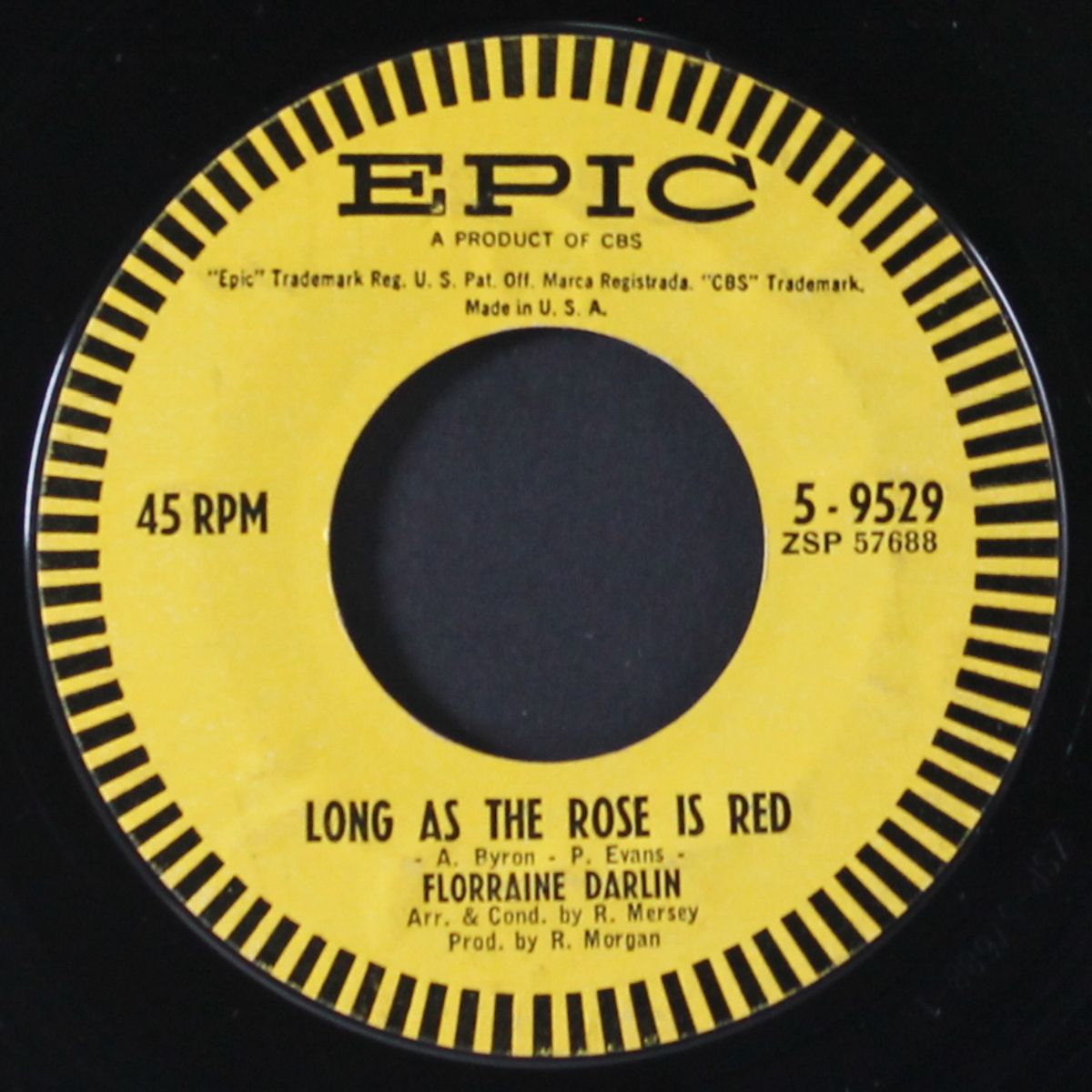 i don't know / long as the rose is red by FLORRAINE DARLIN