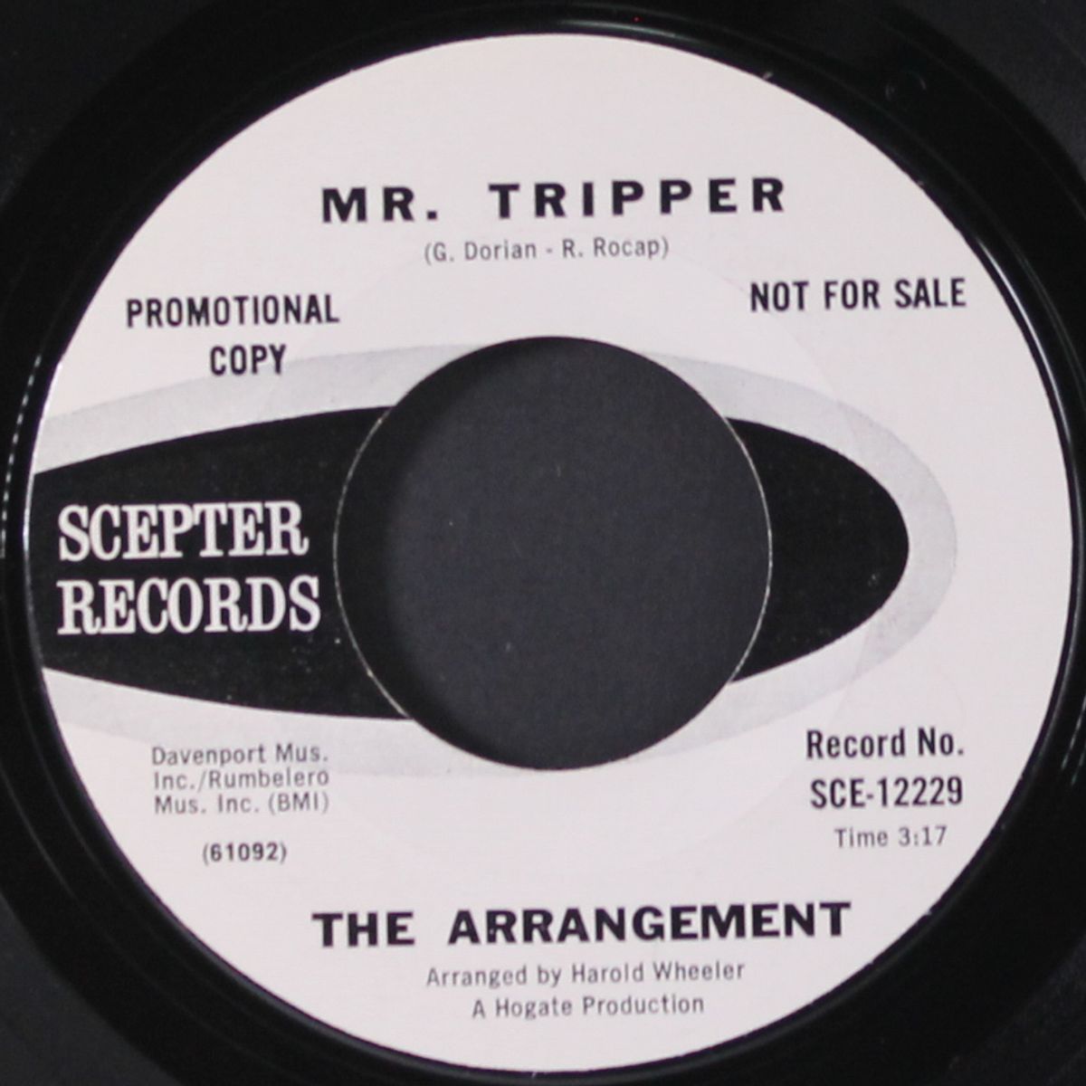 you / mr. tripper by ARRANGEMENT