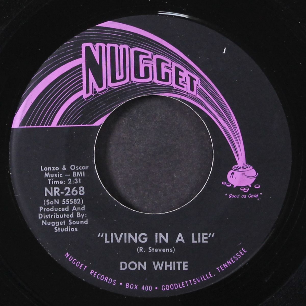 living in a lie / bottom of the bottle by DON WHITE