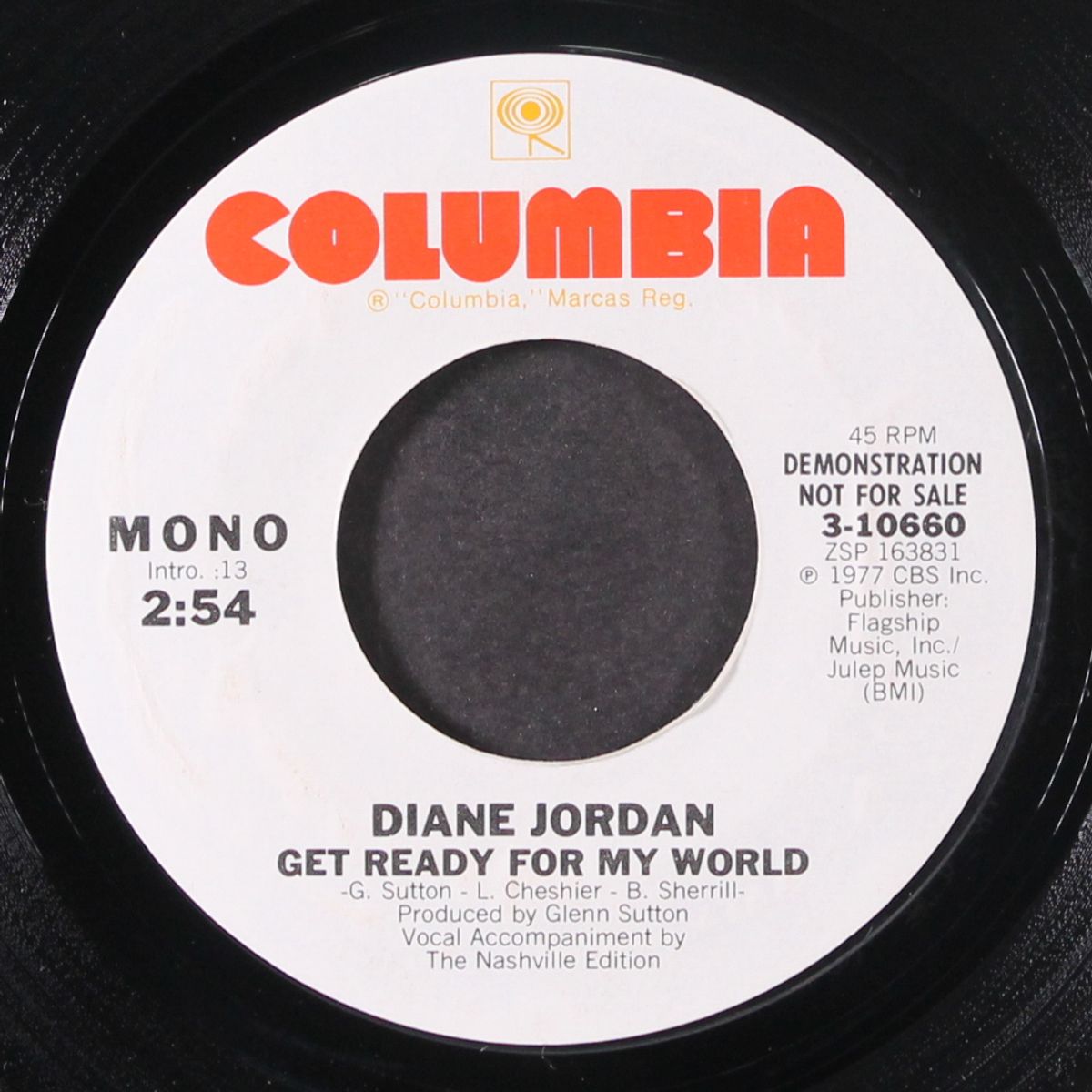 get ready for my world by DIANE JORDAN