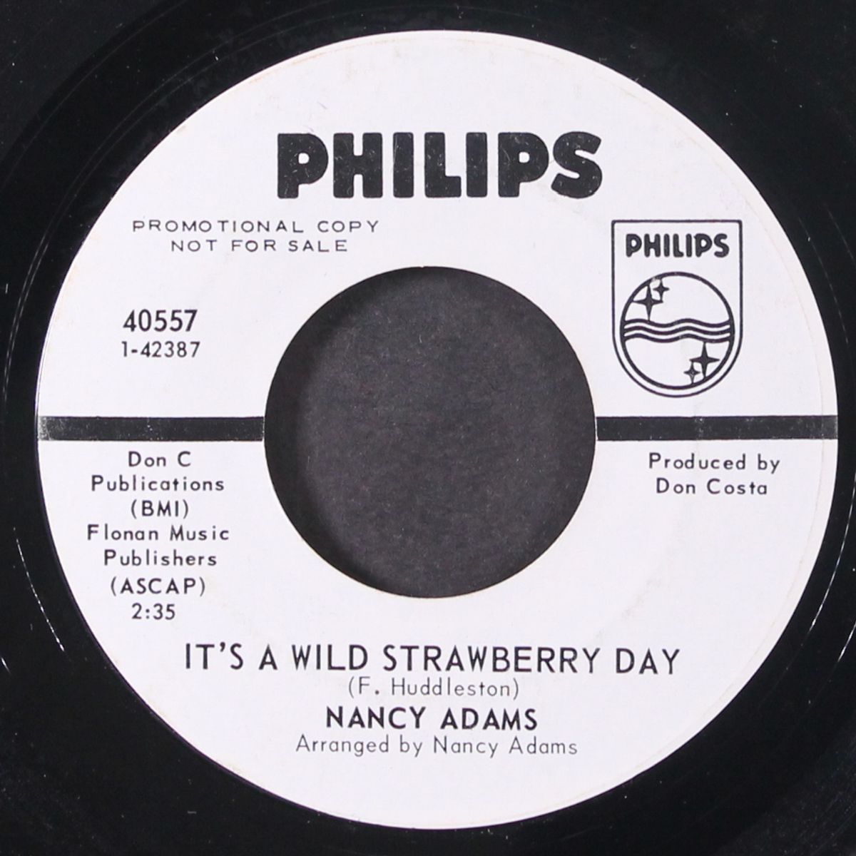 ypsilanti / it's a wild strawberry day by NANCY ADAMS