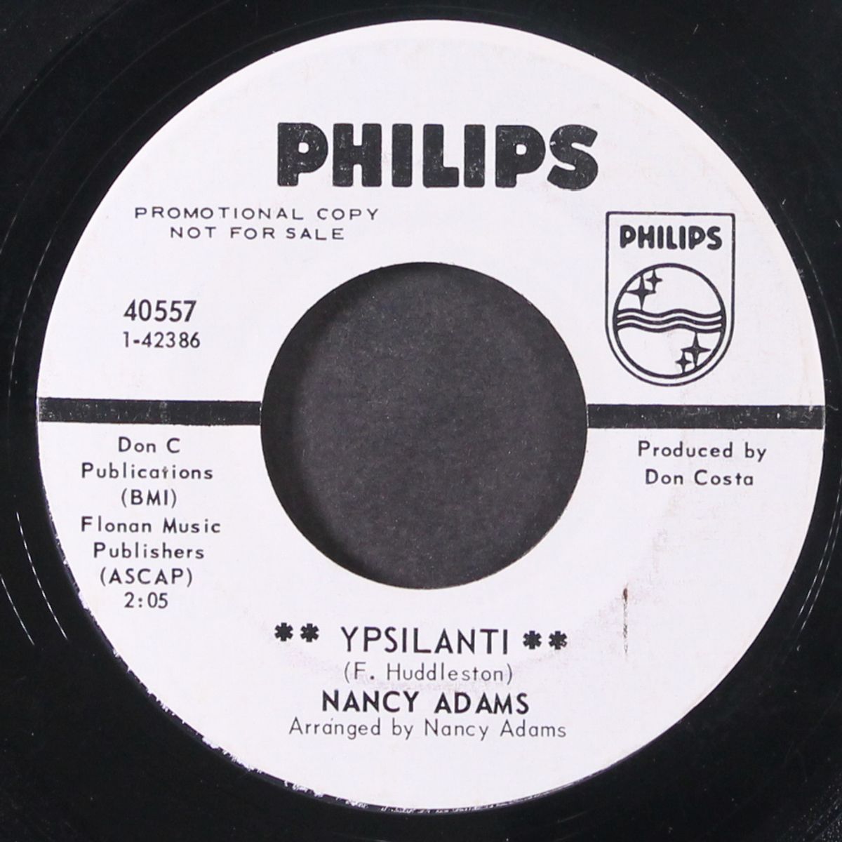 ypsilanti / it's a wild strawberry day by NANCY ADAMS