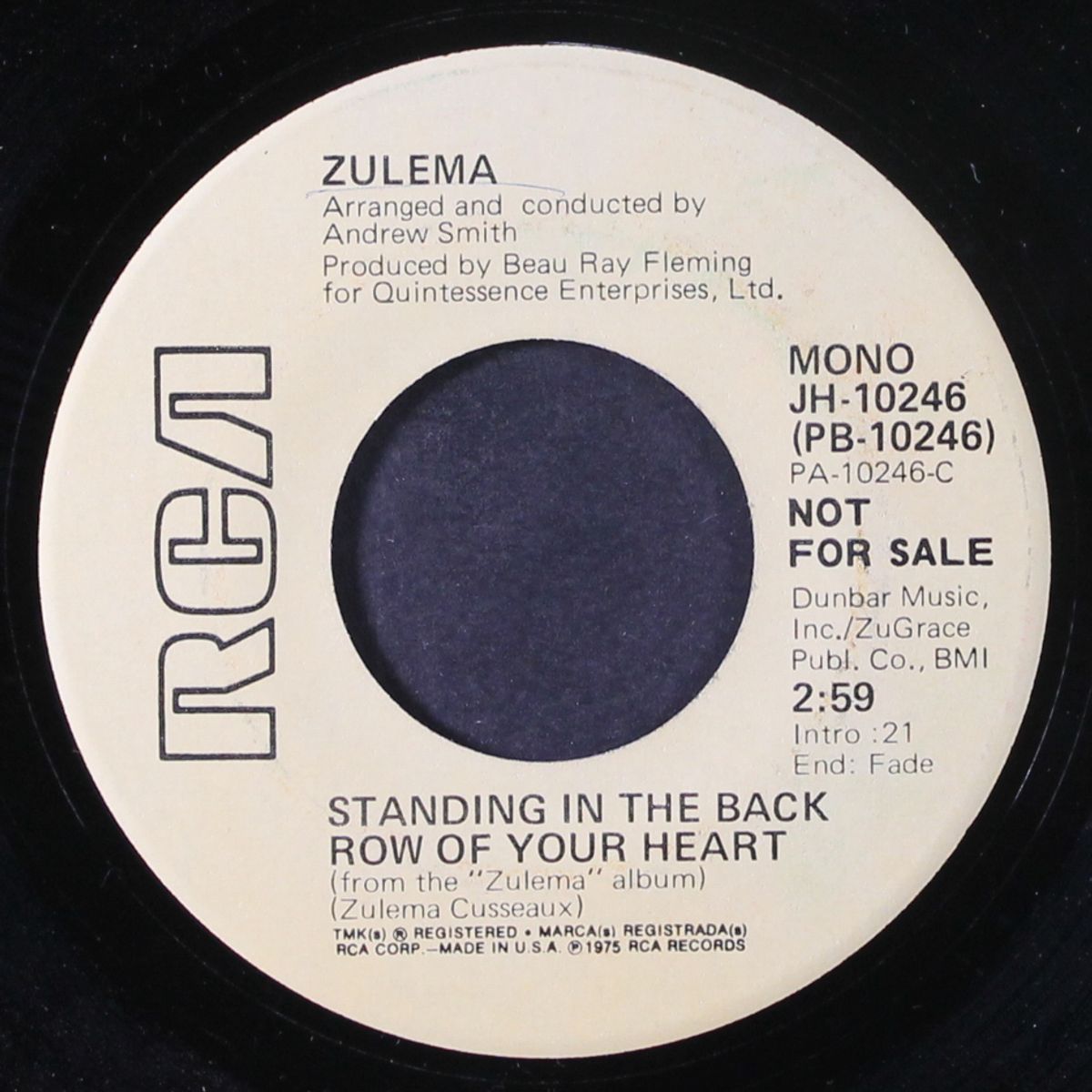 standing in the back row of your heart / mono by ZULEMA