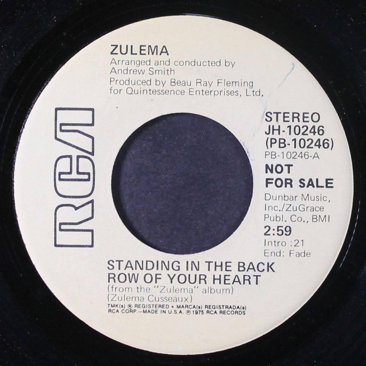 standing in the back row of your heart / mono by ZULEMA