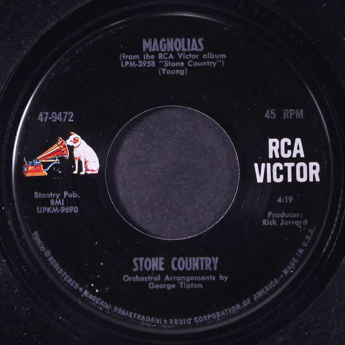 love psalm / magnolias by STONE COUNTRY
