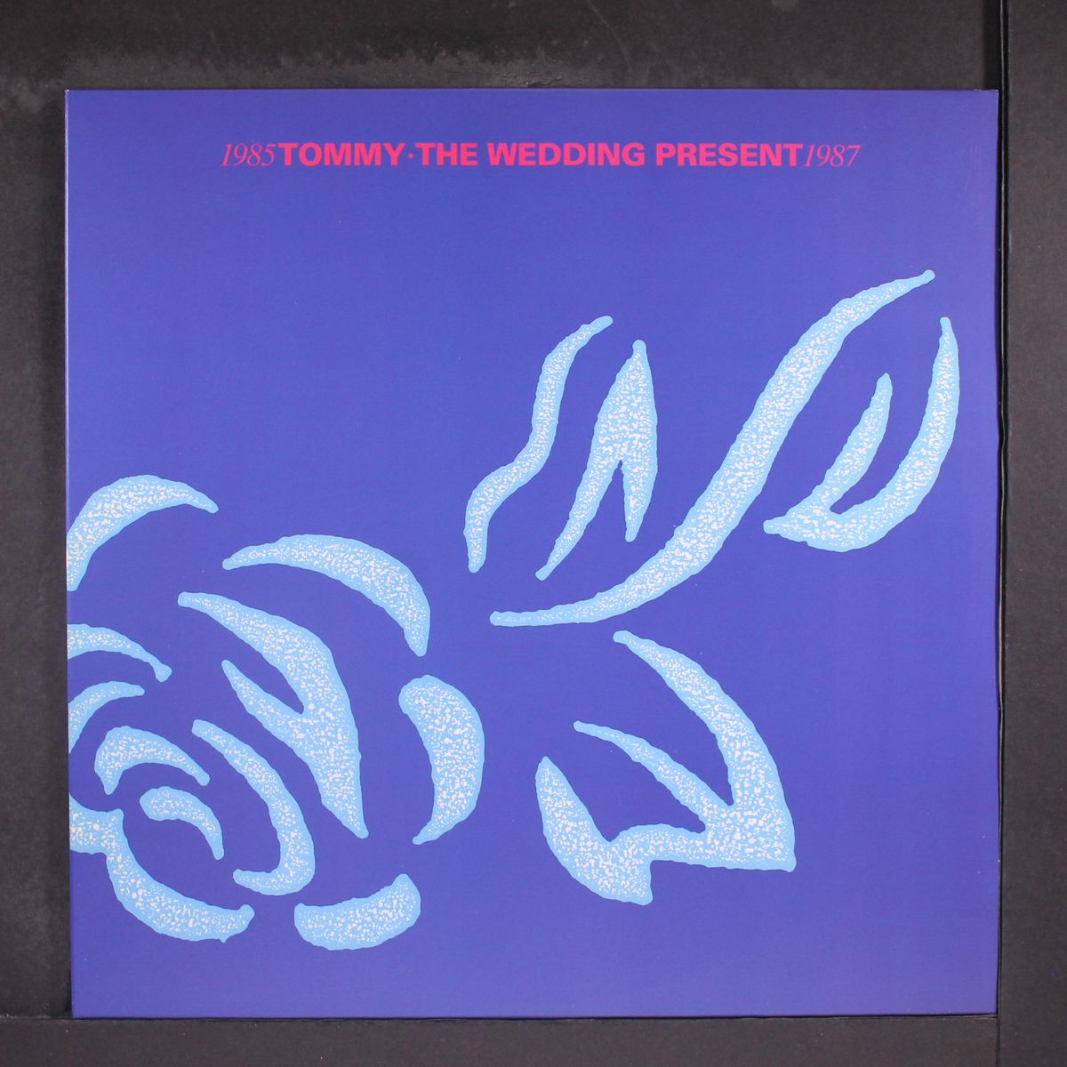 tommy by WEDDING PRESENT