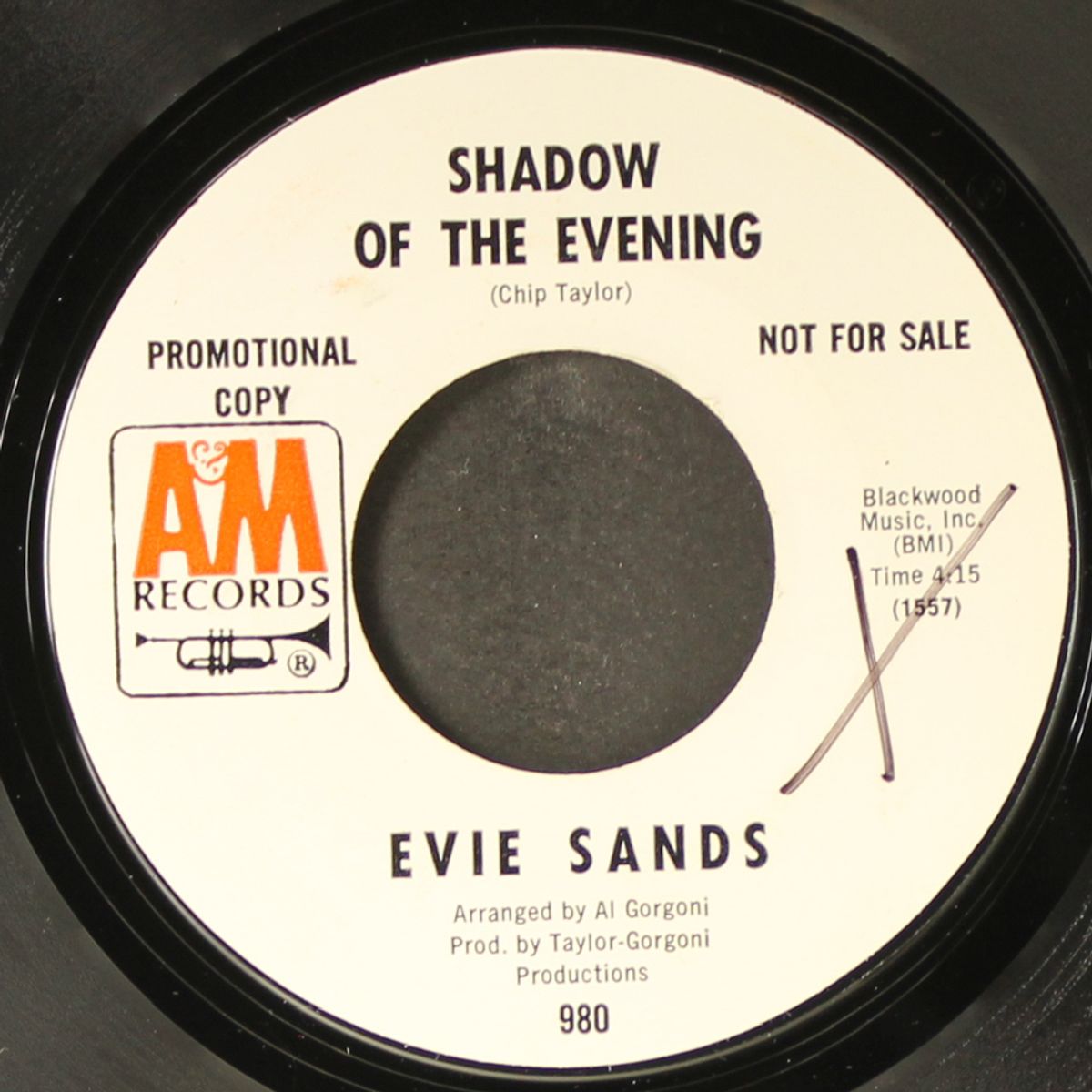 shadow of the evening / until it's time for you to go by EVIE SANDS