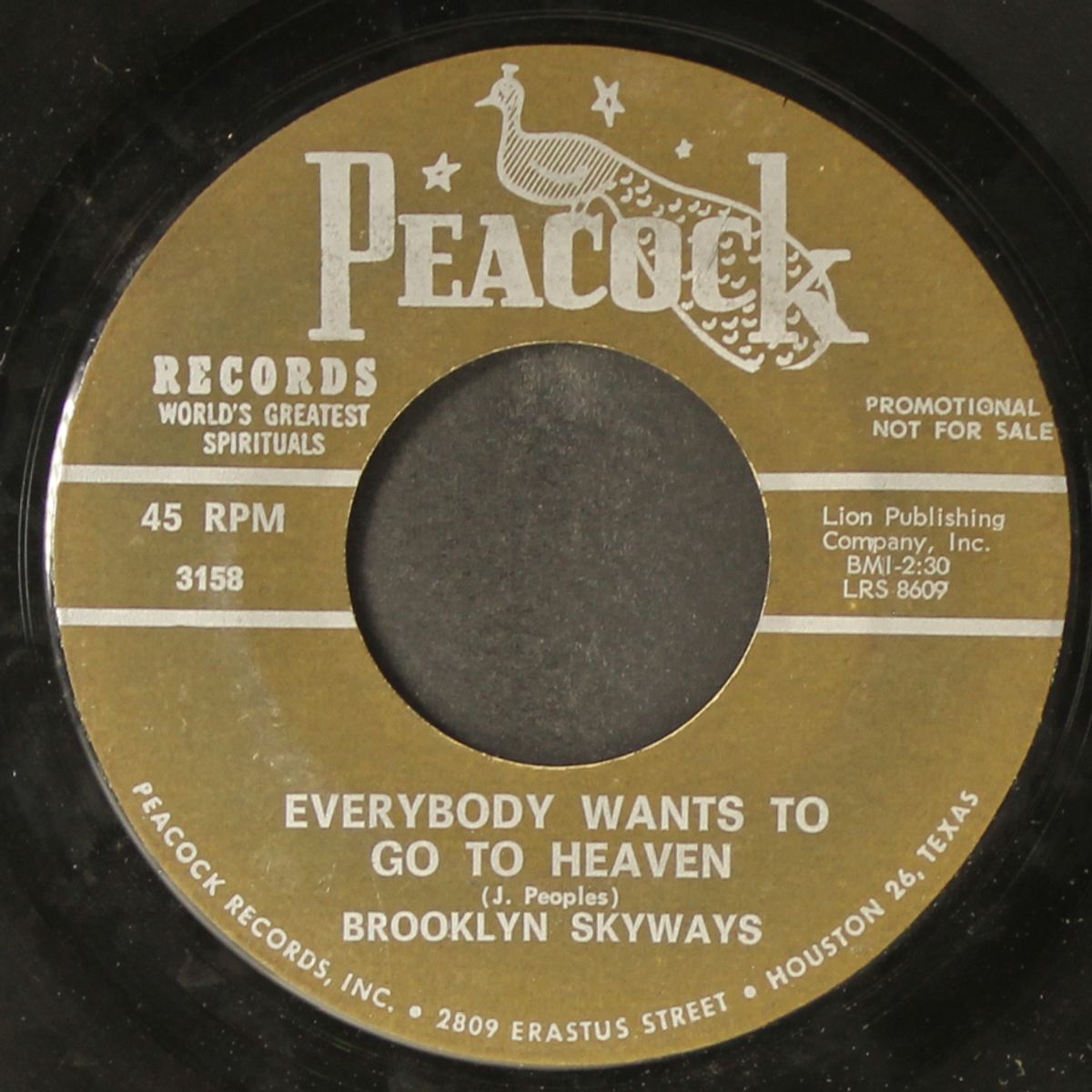 everybody wants to go to heaven by BROOKLYN SKYWAYS