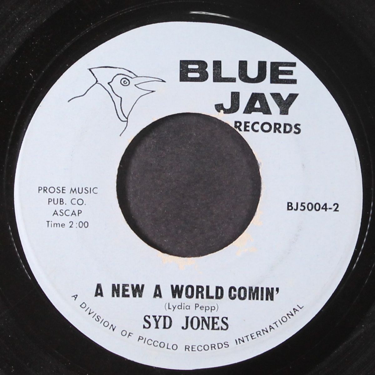 my judge and jury / a new a world comin' by SYD JONES