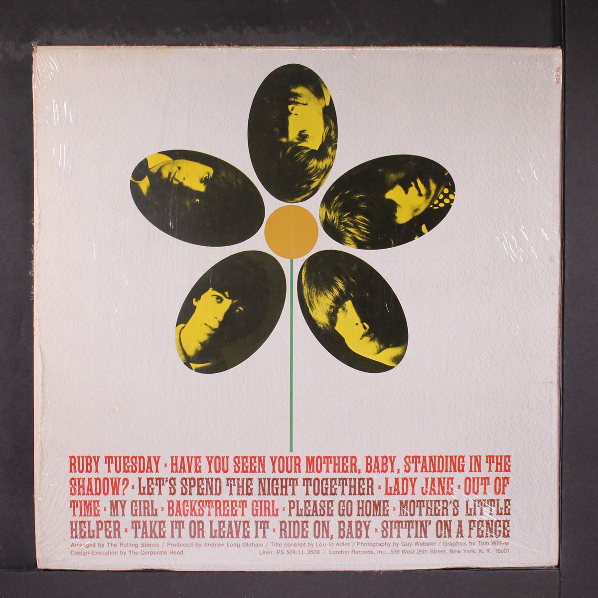 flowers by ROLLING STONES