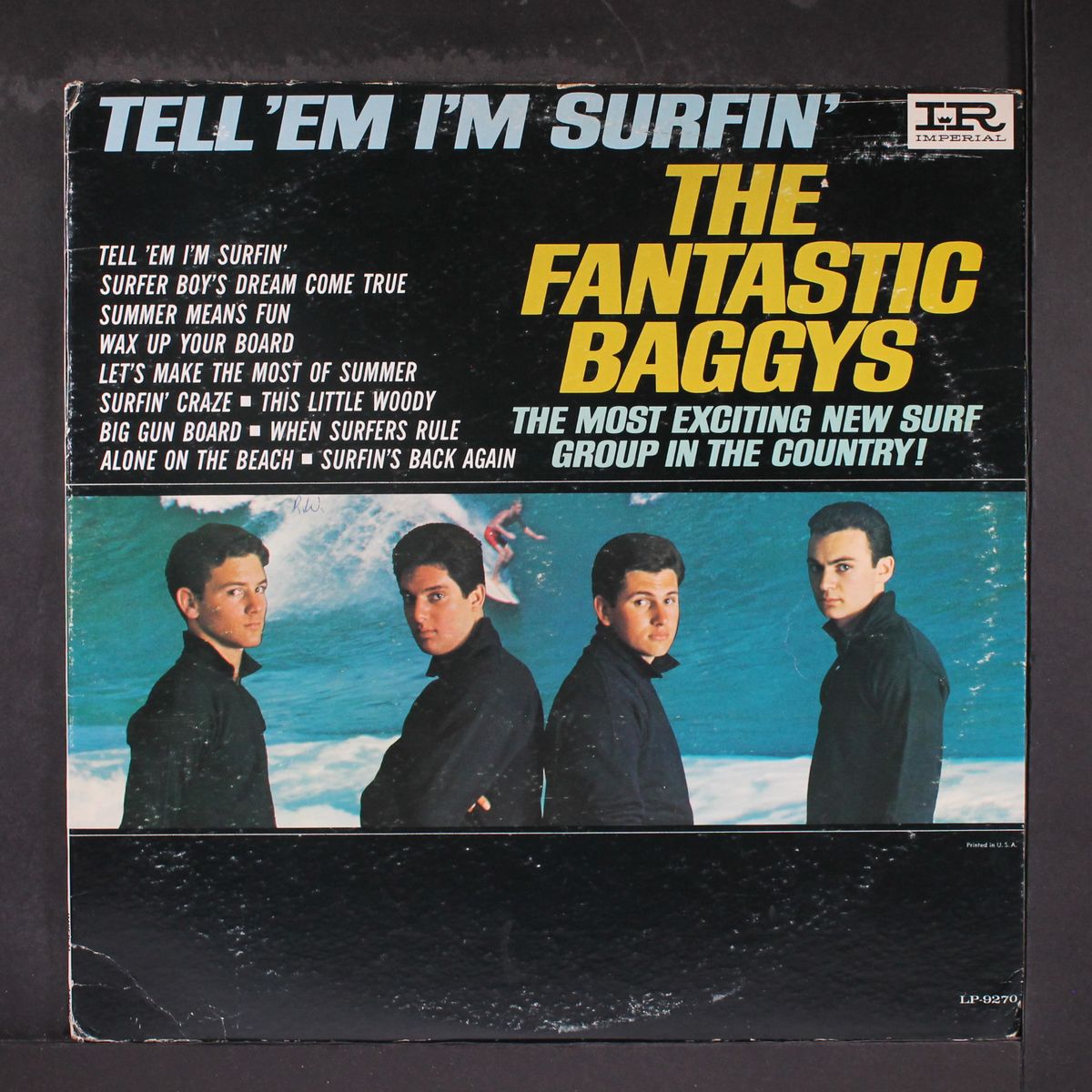 tell 'em i'm surfin' by FANTASTIC BAGGYS