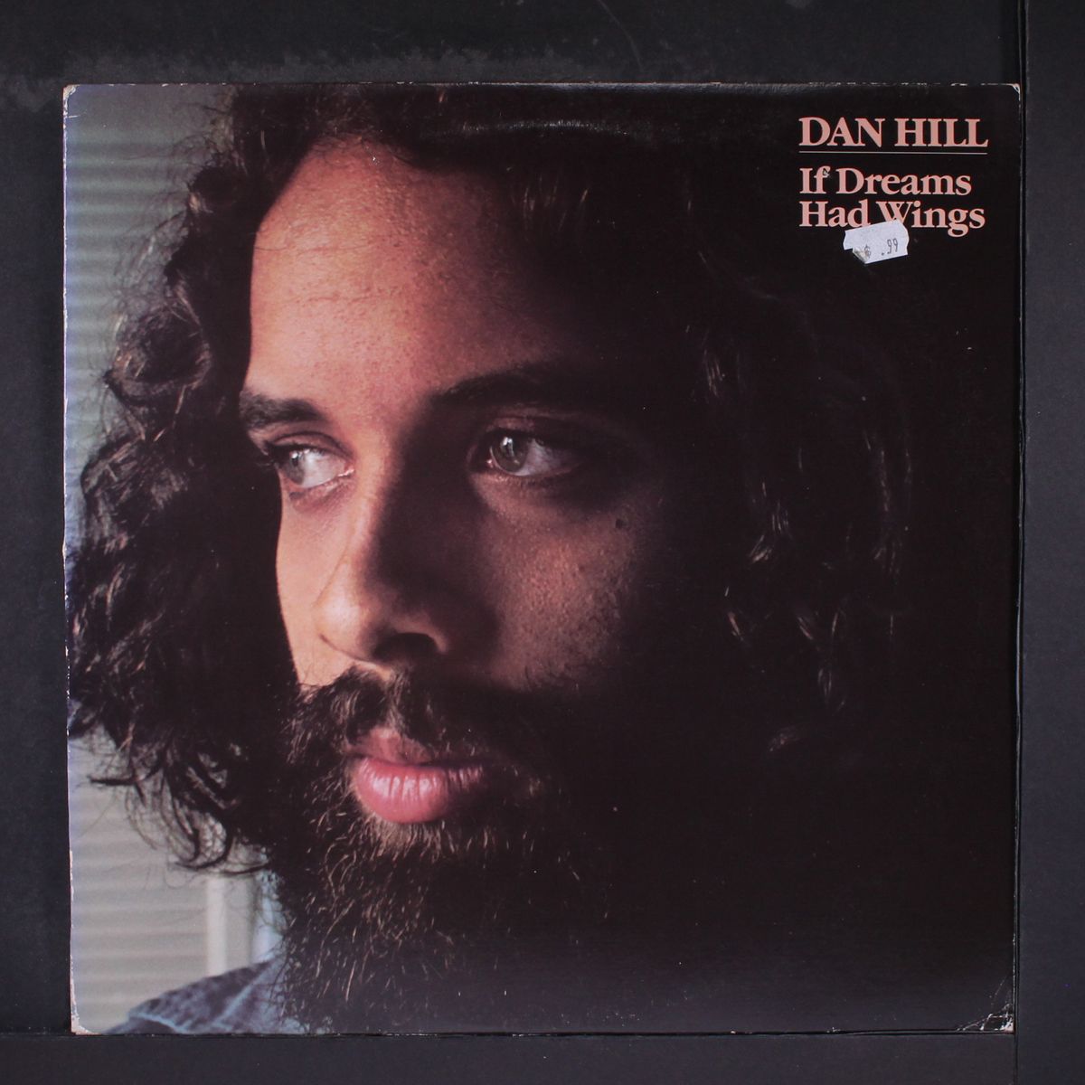 if dreams had wings by DAN HILL