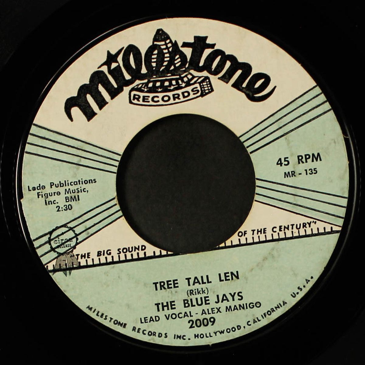 tears are falling / tree tall len by BLUE JAYS