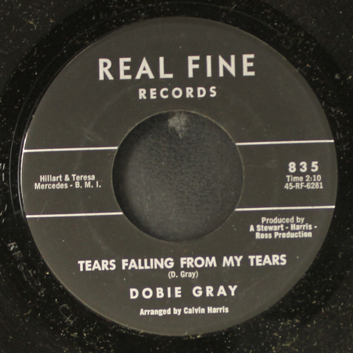tears falling from my tears by DOBIE GRAY