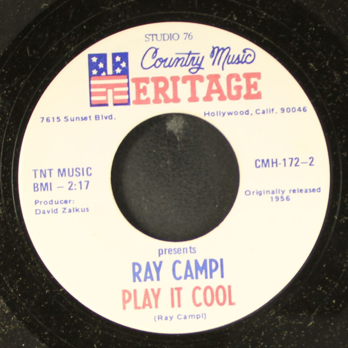 caterpillar / play it cool by RAY CAMPI