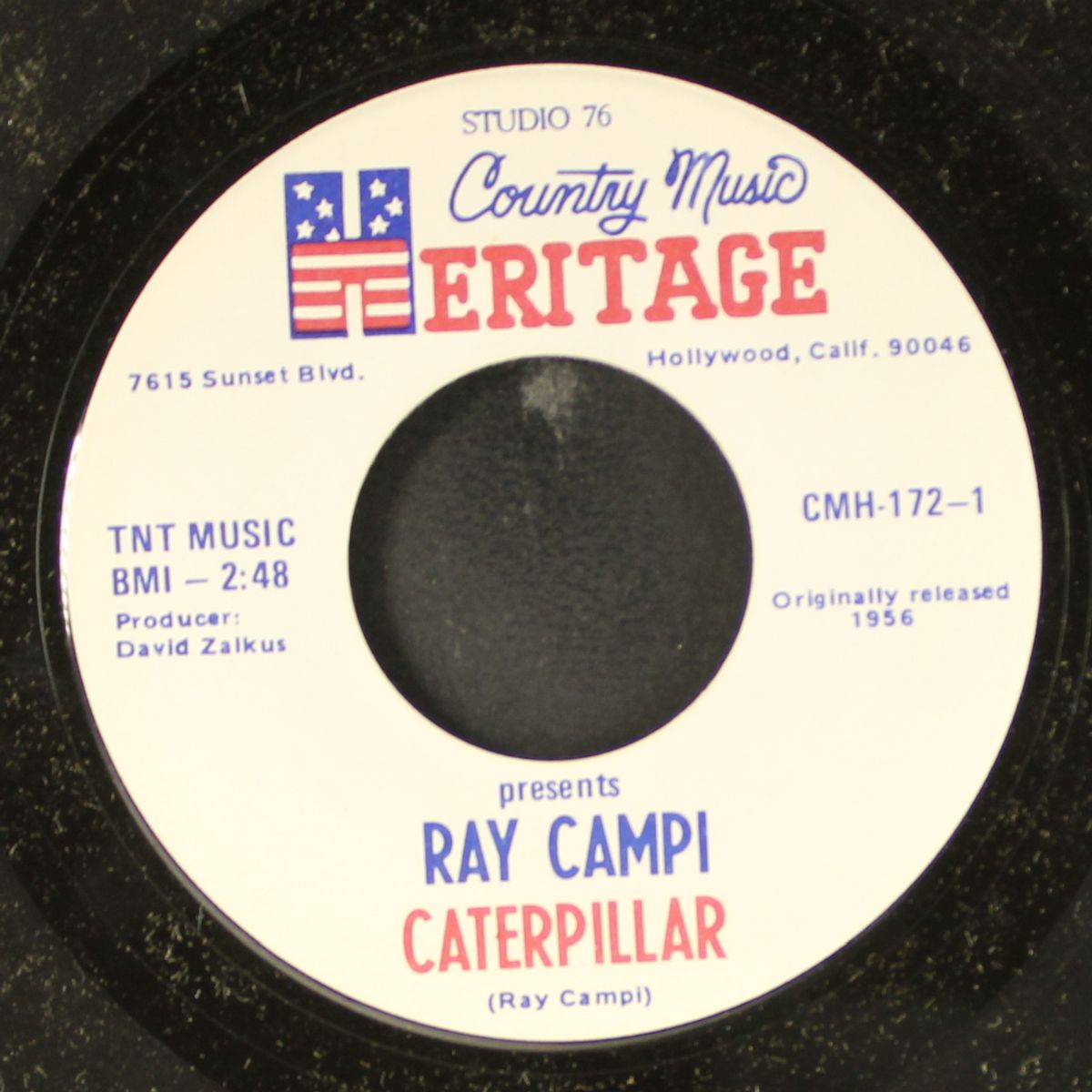 caterpillar / play it cool by RAY CAMPI