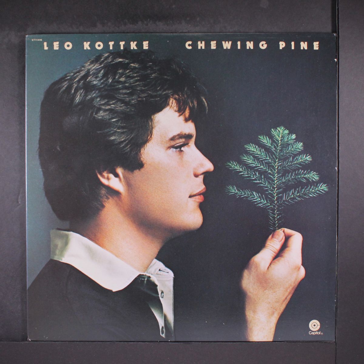 chewing pine by LEO KOTTKE