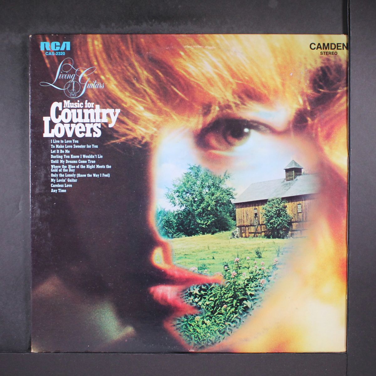 music for country lovers by LIVING GUITARS