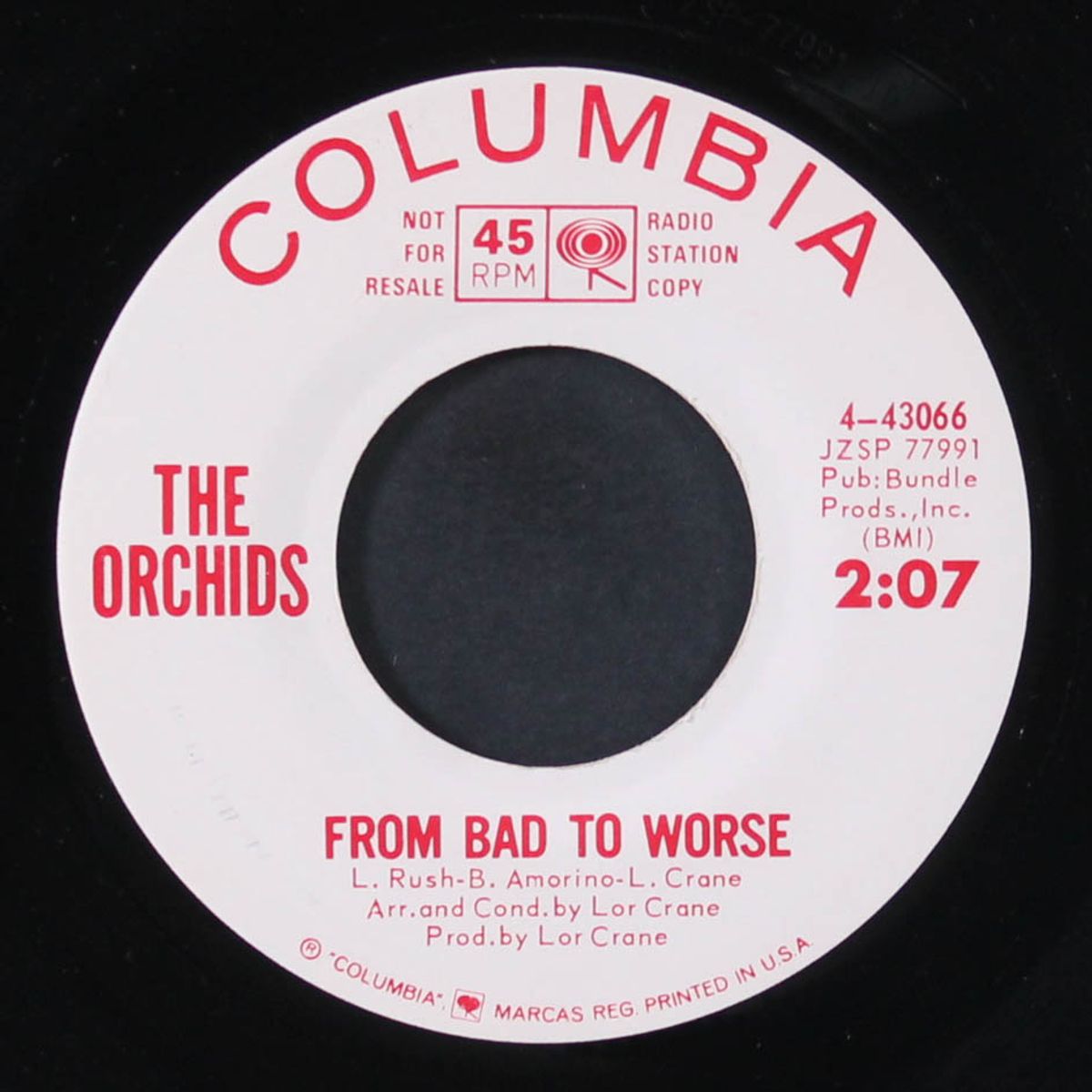 tell me a story by ORCHIDS