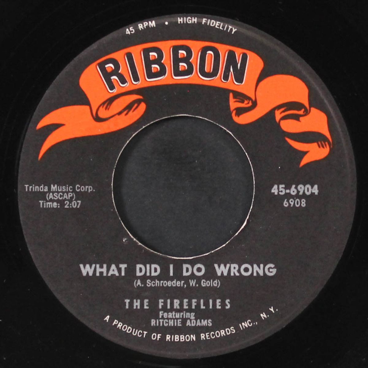 i can't say goodbye / what did i do wrong by FIREFLIES