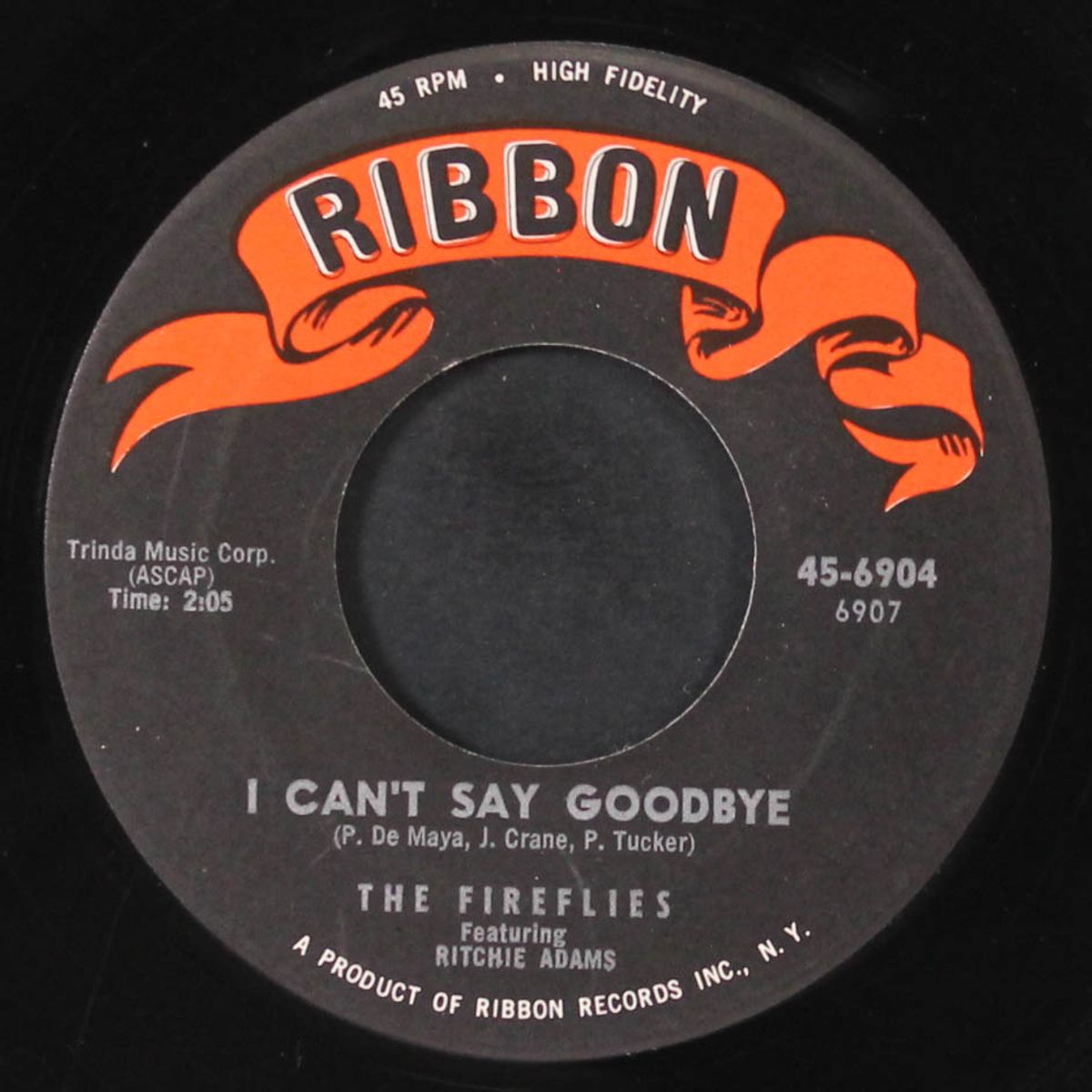 i can't say goodbye / what did i do wrong by FIREFLIES