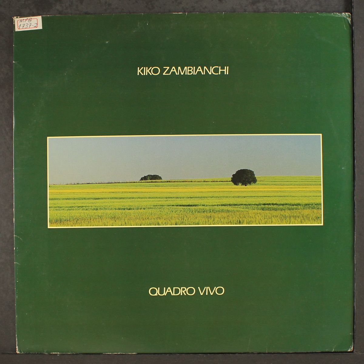quadro vivo by KIKO ZAMBIANCHI