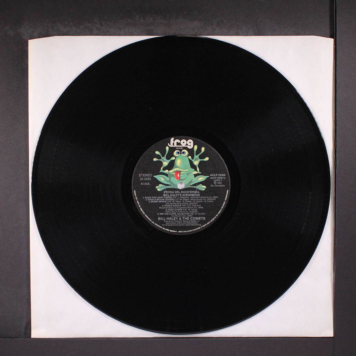 storia del rock & roll by BILL HALEY