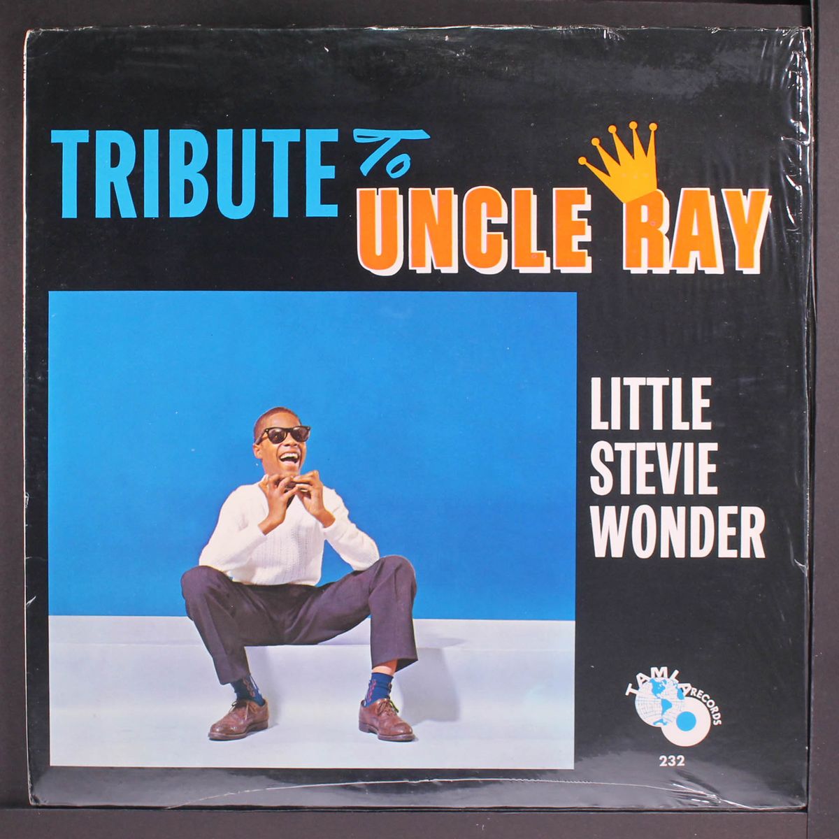 tribute to uncle ray by STEVIE WONDER