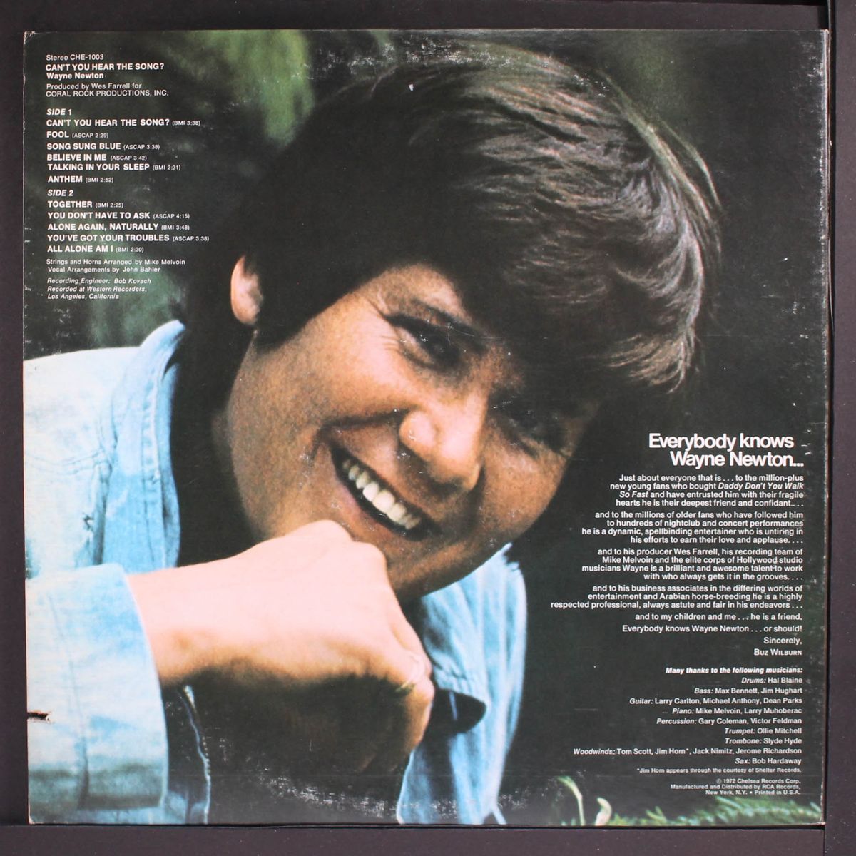 can't you hear the song? by WAYNE NEWTON