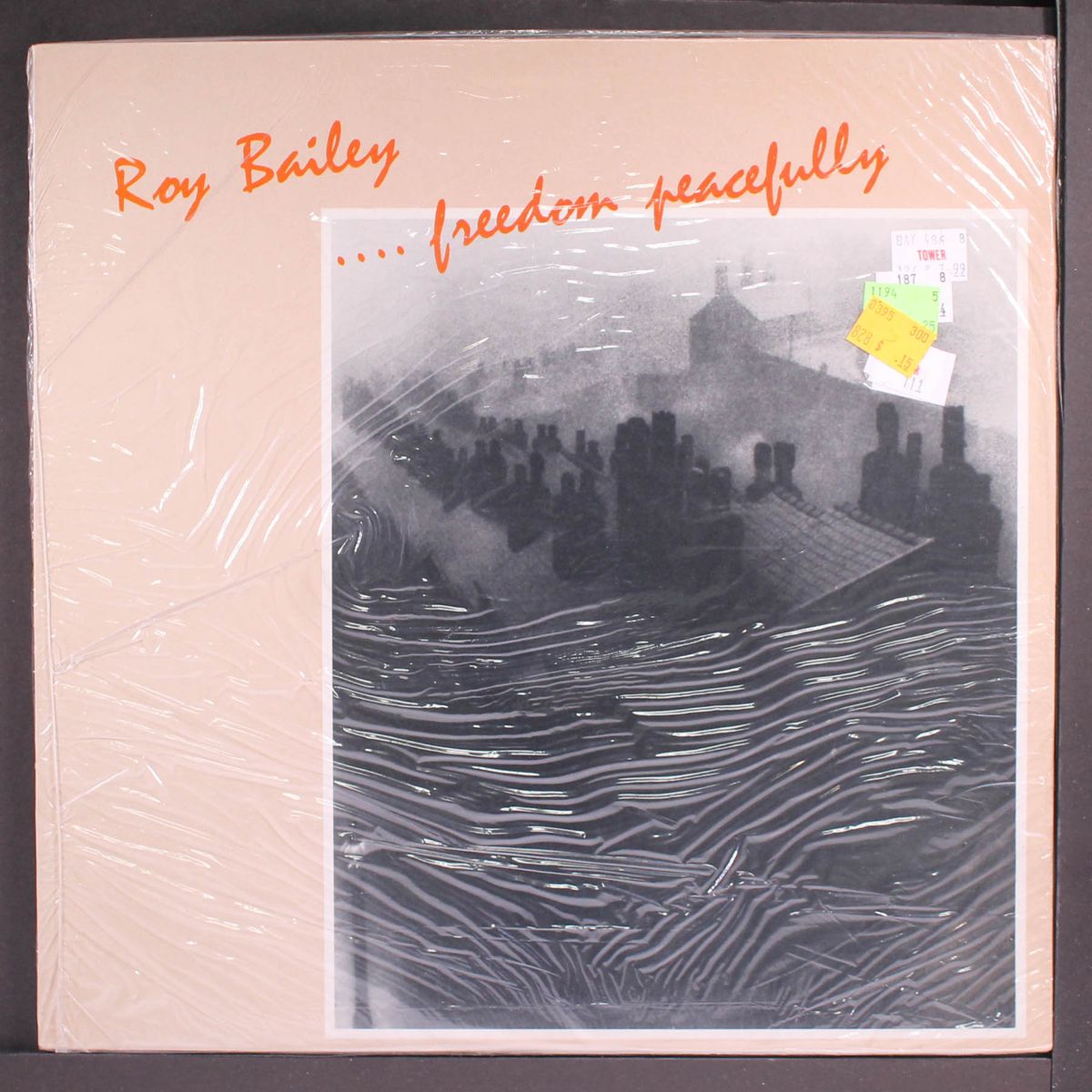 freedom peacefully by ROY BAILEY