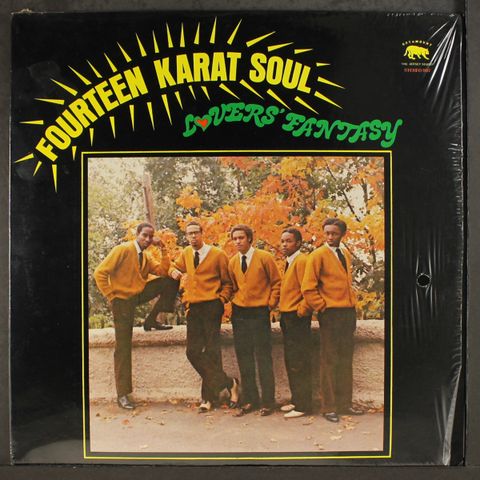FOURTEEN KARAT SOUL
