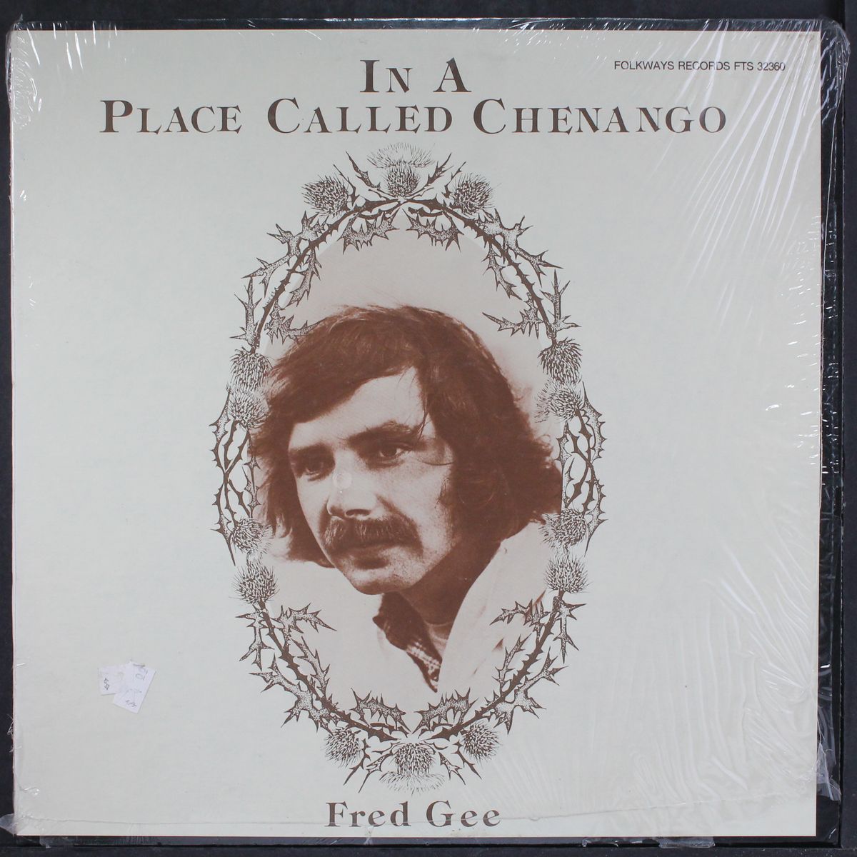 in a place called chenango by FRED GEE