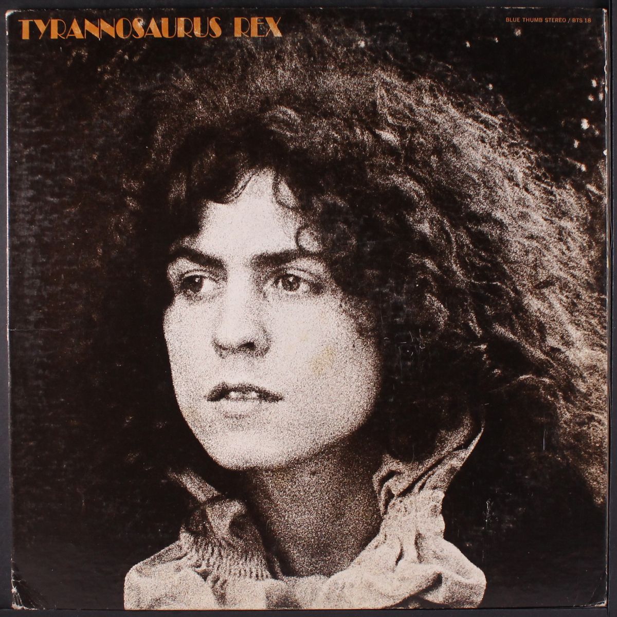 a beard of stars by TYRANNOSAURUS REX